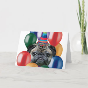 Happy birthday Pug dog Card