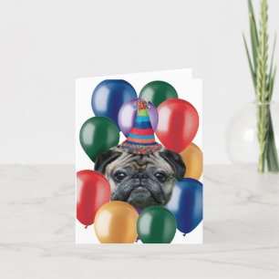 Happy Birthday pug dog Card