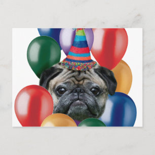 Happy birthday Pug dog Postcard
