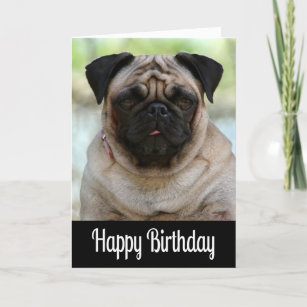 Black Pug Cards | Zazzle UK