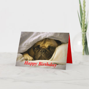 Happy Birthday Pug Puppy Dog Greeting Card