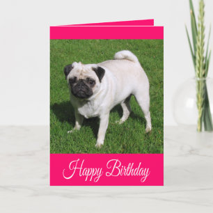 Happy Birthday Pug Puppy Dog Greeting Card