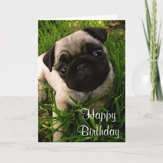 Happy Birthday Pug Puppy Dog Greeting Card (Front)