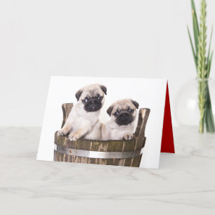 Happy Birthday Pug Puppy Dog Greeting Card - Verse