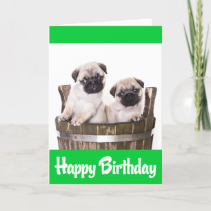 Happy Birthday Pug Puppy Dogs Greeting Card  Verse