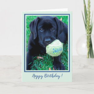 Happy Birthday Puppy Black Labrador - Cute Dog Card