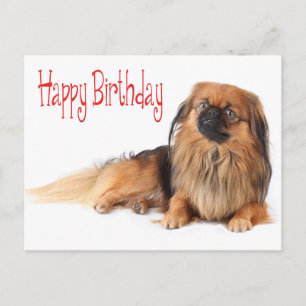 Happy Birthday Puppy Dog Red Postcard