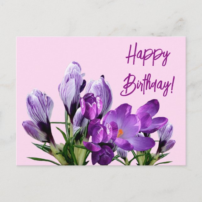 Happy Birthday purple crocuses flowers boho cute Postcard (Front)