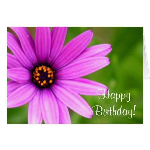 Happy Birthday Purple Daisy greeting card | Zazzle