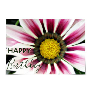 "Happy Birthday" Purple Gazania Flower Card