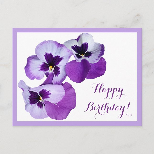 Happy Birthday purple pansy flowers boho Postcard (Front)