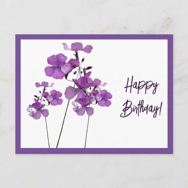 Happy Birthday purple Scottish wild flowers boho Postcard (Front)