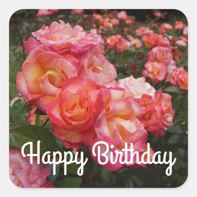 Happy Birthday Rainbow Sorbet Rose #4 Stickers (Front)