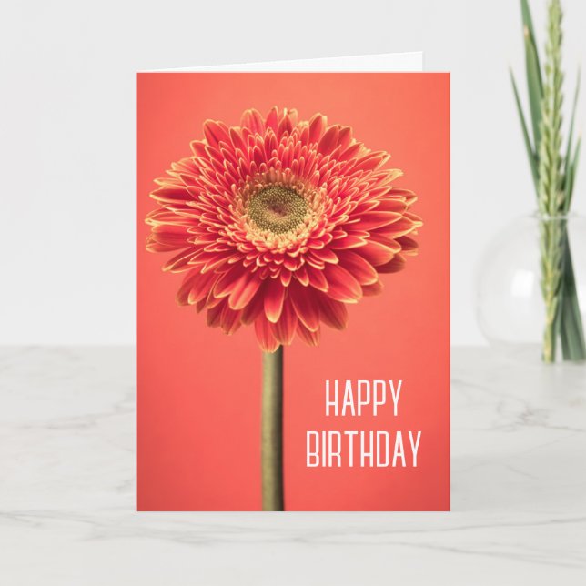 Happy Birthday | Red Barberton Gerbera Daisy Card (Front)