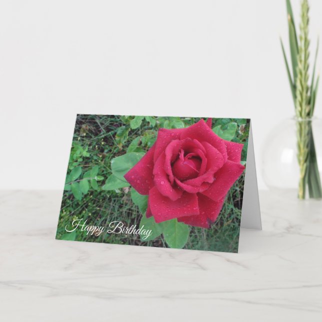 Happy Birthday Red Rose and Raindrops Card (Front)