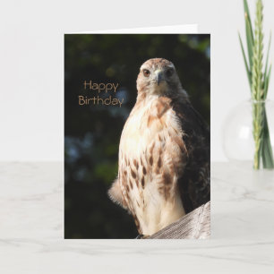 Happy Birthday Red Tail Hawk Card