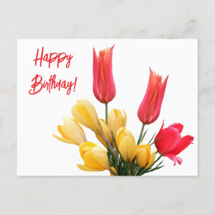 Happy Birthday red tulip yellow crocus floral love Postcard