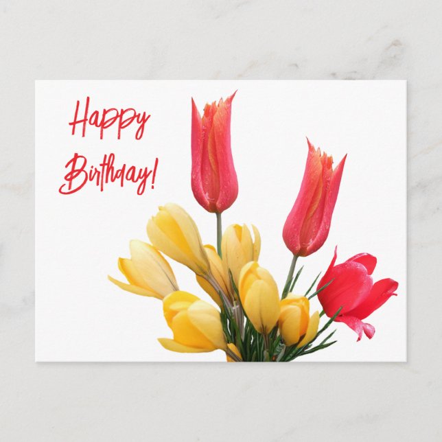 Happy Birthday red tulip yellow crocus floral love Postcard (Front)
