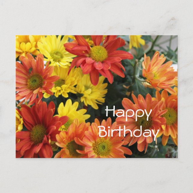 Happy birthday, red, yellow & orange daisy flower postcard (Front)