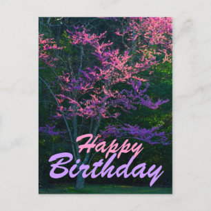 Happy Birthday - Redbud Flower Tree Postcard