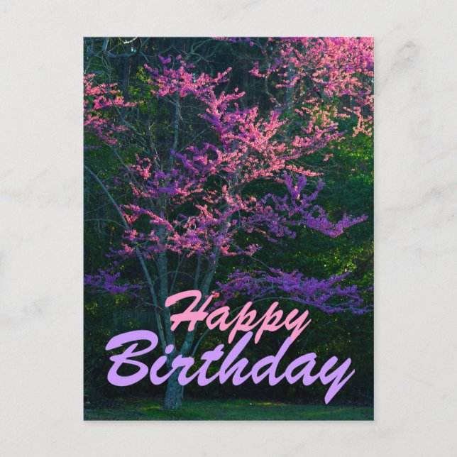 Happy Birthday - Redbud Flower Tree Postcard (Front)