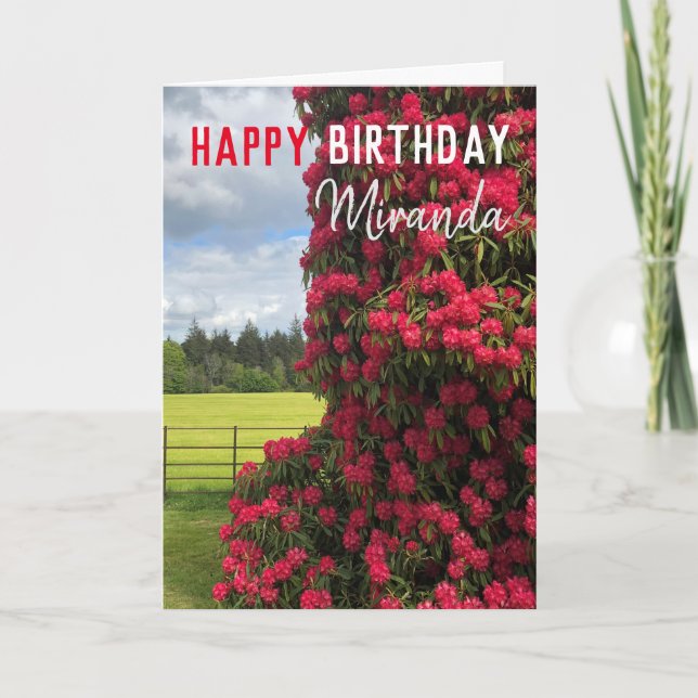 Happy Birthday - Rhododendron and Scenic View Card (Front)