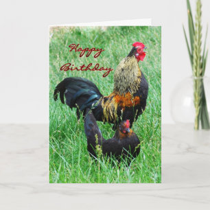 Happy Birthday Rooster and Hen Card