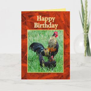 Happy Birthday Rooster and Hen Red Feathers Card