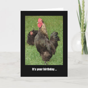 Happy Birthday Rooster, Strut Your Stuff! Card