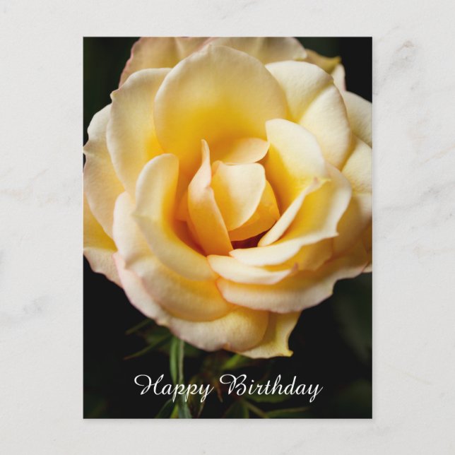 Happy Birthday Rose Postcard (Front)