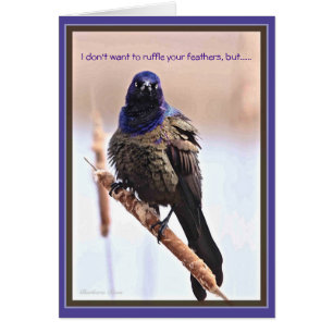 Happy Birthday: Ruffled feathers