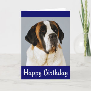 Happy Birthday Saint Bernard Puppy Dog Card