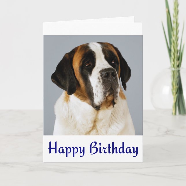 Happy Birthday Saint Bernard Puppy Dog Card (Front)