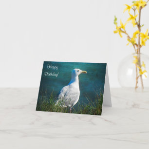 Happy Birthday Seagull Card