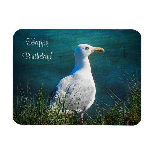 Happy Birthday Seagull Magnet (Horizontal)