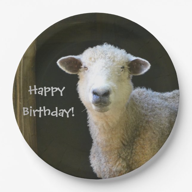 Happy Birthday Sheep Paper Plate (Front)