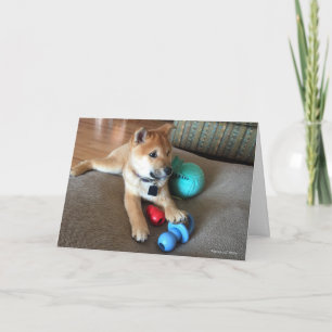 Happy Birthday Shiba Inu Puppy Colourful Toys Phot Card