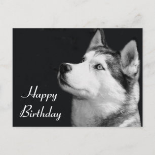 Happy Birthday Siberian Husky Puppy Dog Post Card