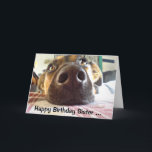Happy Birthday Sister I NOSE it's your Cute Dog Card<br><div class="desc">Happy Birthday I nose it's your birthday,  Cute Dog Sister will appreciate this card</div>