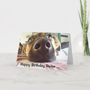 Happy Birthday Sister I NOSE it's your Cute Dog Card