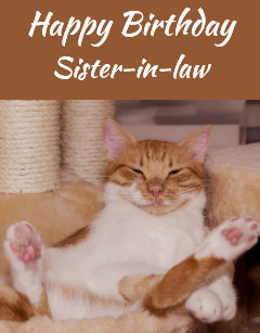 A Sister Cat Birthday Cards Zazzle Uk