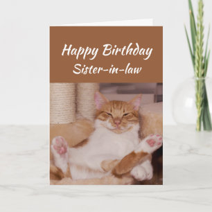 Happy Birthday Sister-in-law Celebrate Funny Cat Card