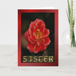 Happy Birthday Sister red rose Birthday wishes Card