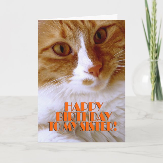Happy Birthday Sister - Sweet Cat Card (Front)