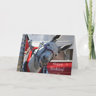 Happy Birthday Smiling Mule Card