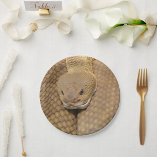 Happy Birthday Snake Party Plates