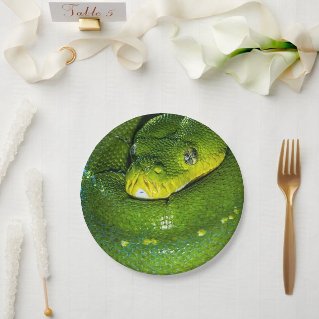Happy Birthday Snake Party Plates (Wedding)