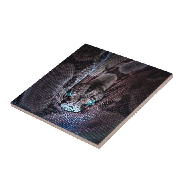 Happy Birthday Snake  Tile (Side)
