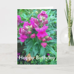 Happy Birthday. Snapdragon flower. Card