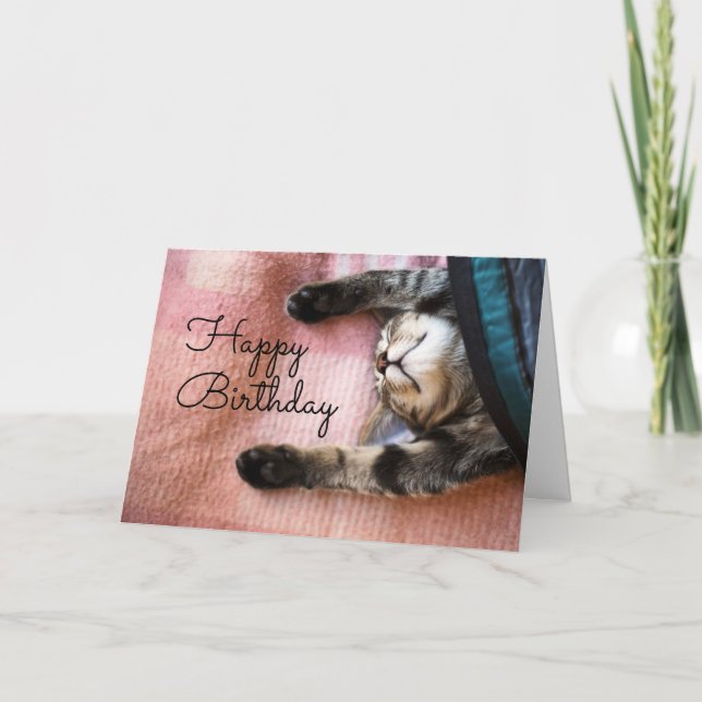 Happy Birthday | Snoozing Kitten Card (Front)
